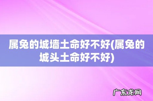 属兔的城头土命好不好 属兔的城墙土命好不好