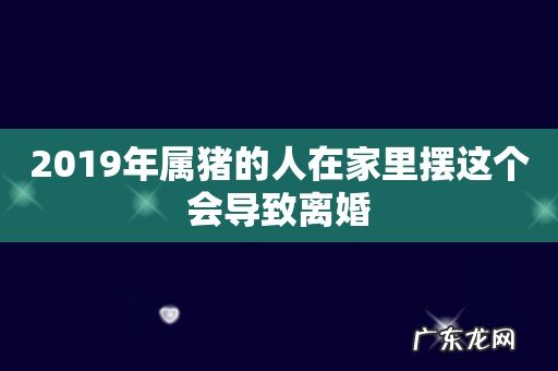 2019年属猪的人在家里摆这个会导致离婚