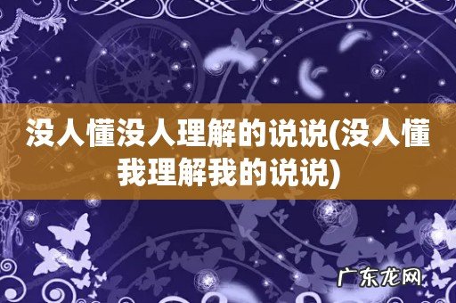 没人懂我理解我的说说 没人懂没人理解的说说