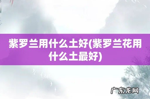 紫罗兰花用什么土最好 紫罗兰用什么土好