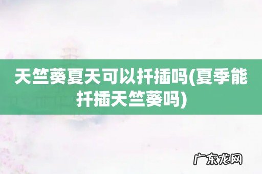 夏季能扦插天竺葵吗 天竺葵夏天可以扦插吗