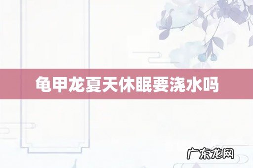 龟甲龙夏天休眠要浇水吗