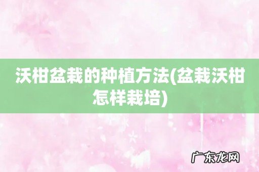 盆栽沃柑怎样栽培 沃柑盆栽的种植方法