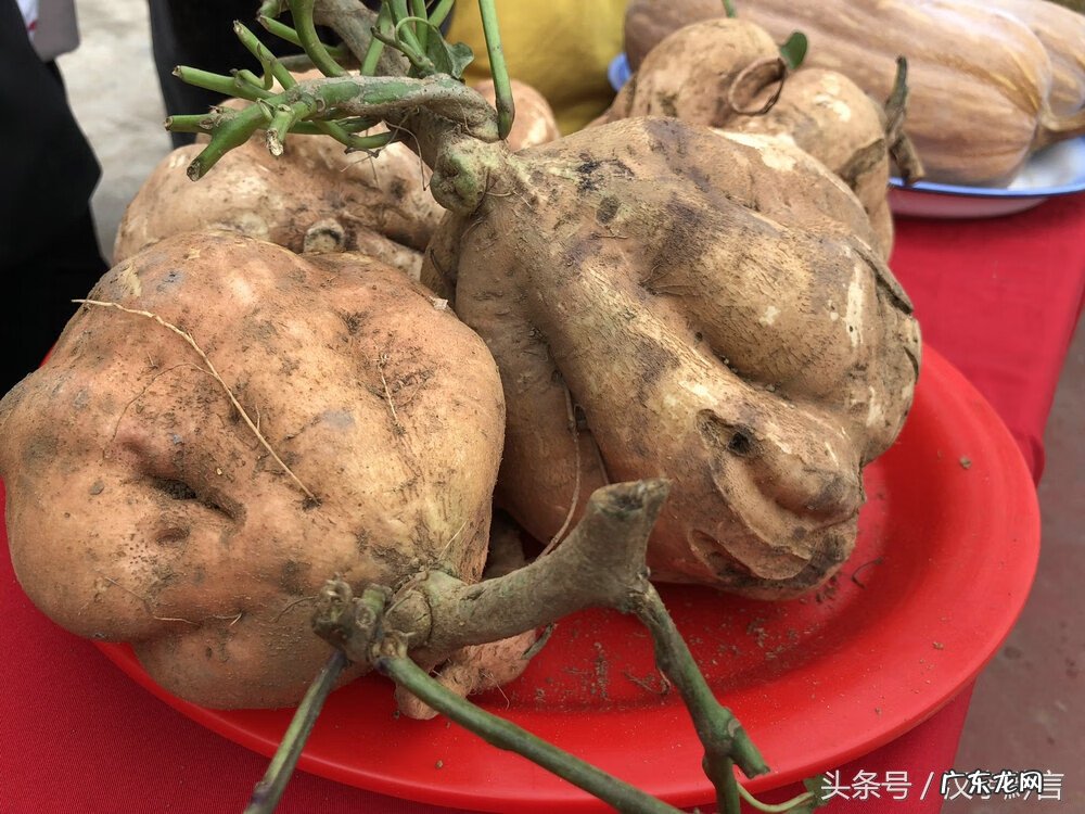 贵州一等风水大地 贵州风水镇
