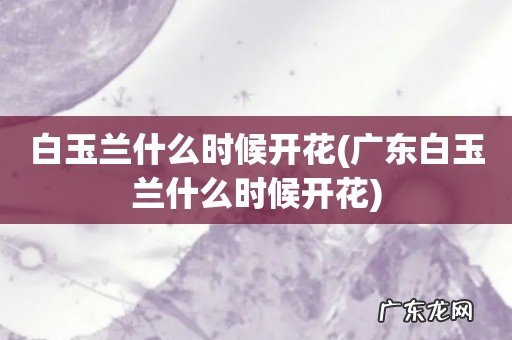 广东白玉兰什么时候开花 白玉兰什么时候开花