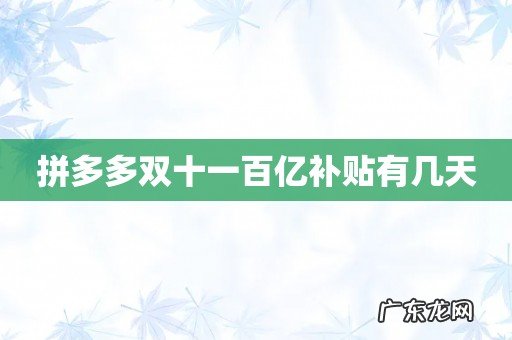 拼多多双十一百亿补贴有几天