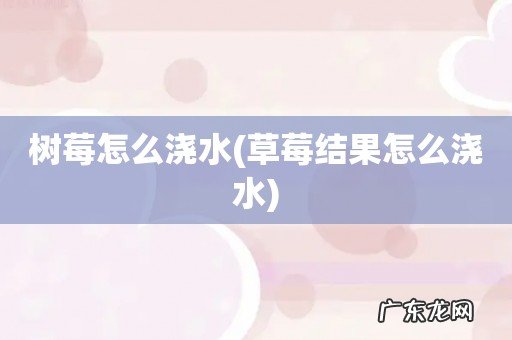 草莓结果怎么浇水 树莓怎么浇水