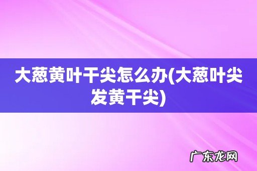 大葱叶尖发黄干尖 大葱黄叶干尖怎么办