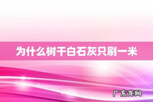 为什么树干白石灰只刷一米