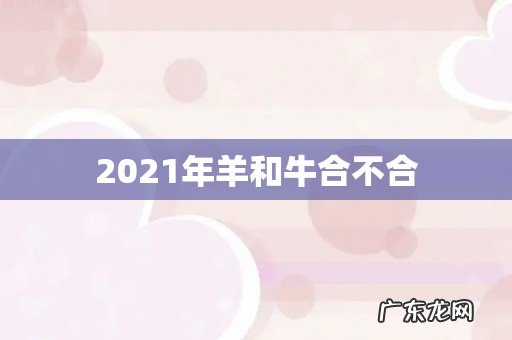 2021年羊和牛合不合