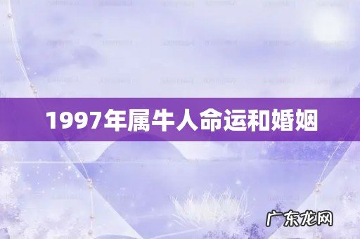 1997年属牛人命运和婚姻