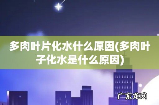 多肉叶子化水是什么原因 多肉叶片化水什么原因