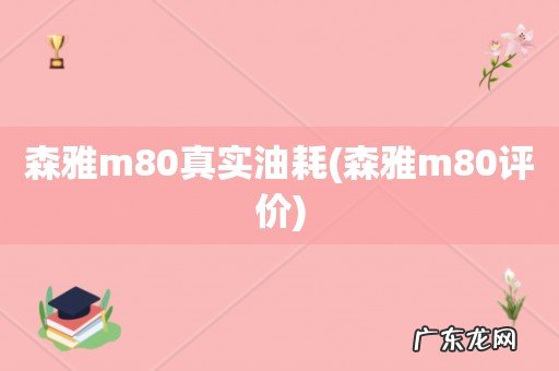 森雅m80评价 森雅m80真实油耗