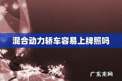 混合动力轿车容易上牌照吗