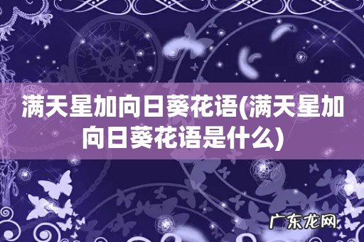 满天星加向日葵花语是什么 满天星加向日葵花语