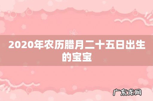 2020年农历腊月二十五日出生的宝宝