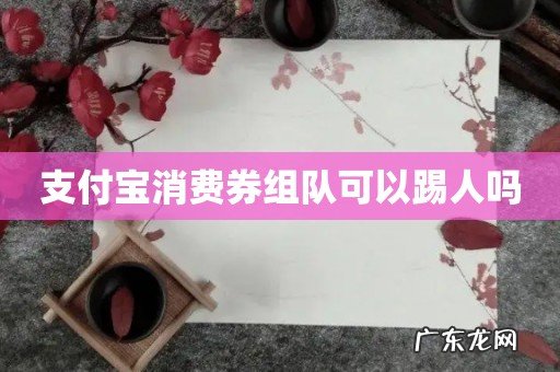 支付宝消费券组队可以踢人吗