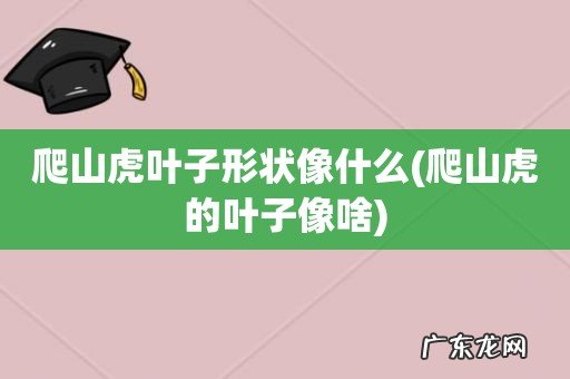 爬山虎的叶子像啥 爬山虎叶子形状像什么
