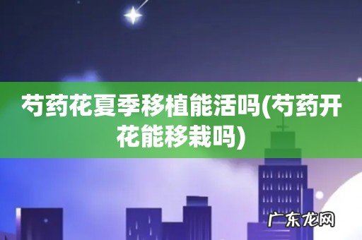 芍药开花能移栽吗 芍药花夏季移植能活吗