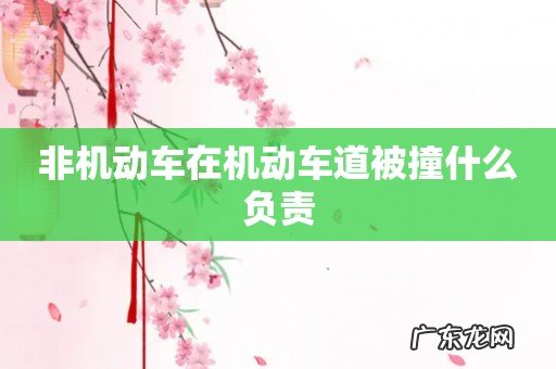 非机动车在机动车道被撞什么负责