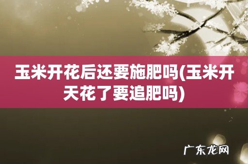 玉米开天花了要追肥吗 玉米开花后还要施肥吗
