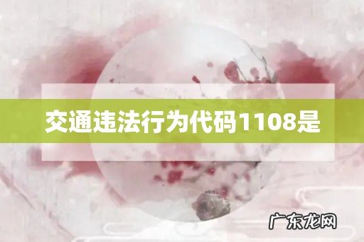 交通违法行为代码1108是