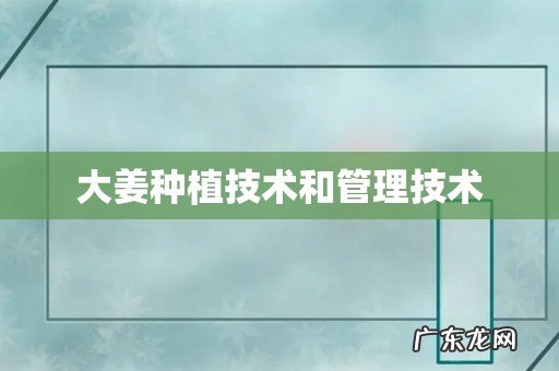大姜种植技术和管理技术