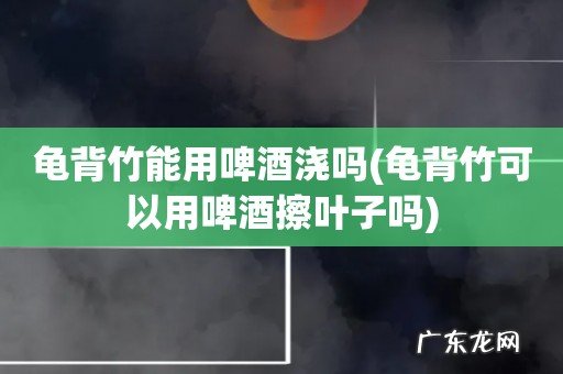 龟背竹可以用啤酒擦叶子吗 龟背竹能用啤酒浇吗