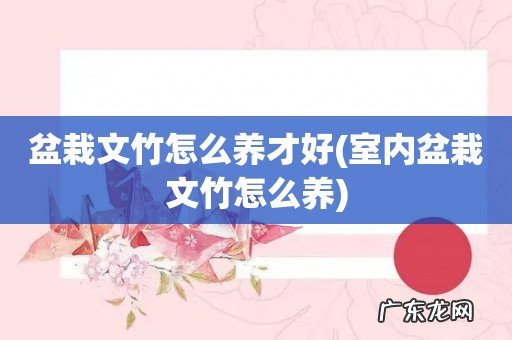 室内盆栽文竹怎么养 盆栽文竹怎么养才好
