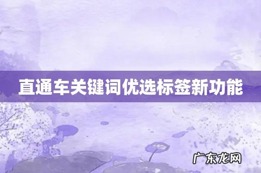 直通车关键词优选标签新功能