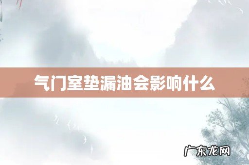 气门室垫漏油会影响什么