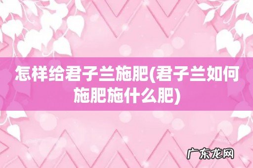 君子兰如何施肥施什么肥 怎样给君子兰施肥