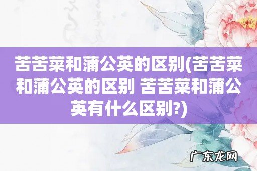 苦苦菜和蒲公英的区别 苦苦菜和蒲公英有什么区别? 苦苦菜和蒲公英的区别