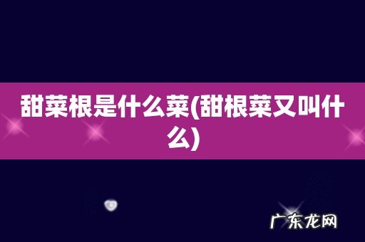 甜根菜又叫什么 甜菜根是什么菜