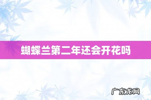 蝴蝶兰第二年还会开花吗