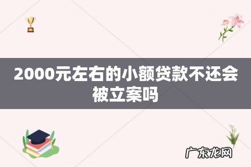 2000元左右的小额贷款不还会被立案吗