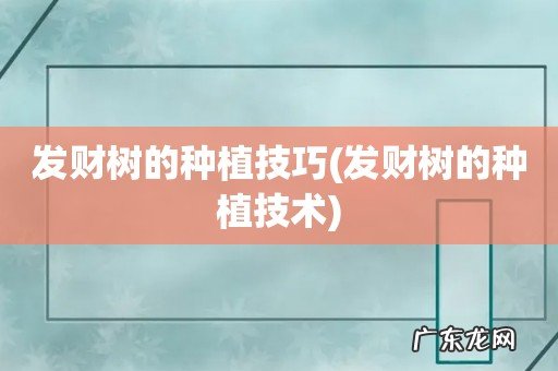 发财树的种植技术 发财树的种植技巧