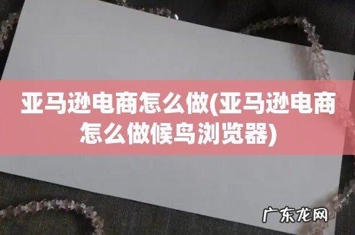 亚马逊电商怎么做候鸟浏览器 亚马逊电商怎么做