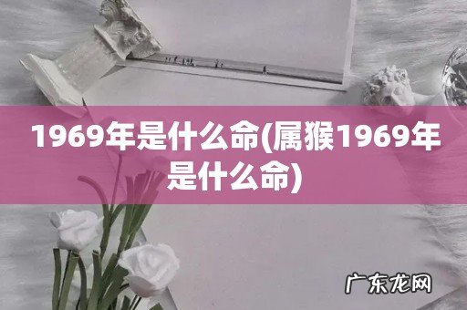 属猴1969年是什么命 1969年是什么命