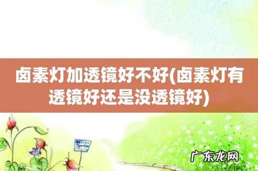 卤素灯有透镜好还是没透镜好 卤素灯加透镜好不好
