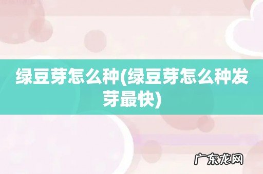 绿豆芽怎么种发芽最快 绿豆芽怎么种