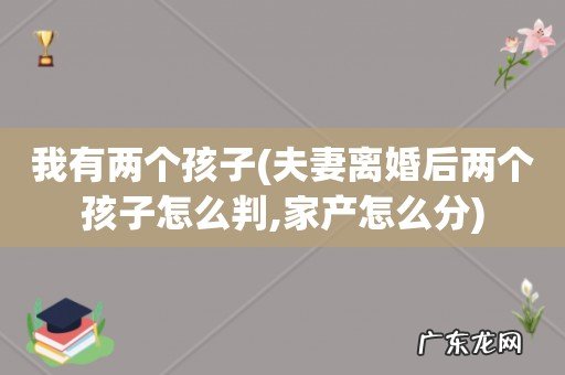 夫妻离婚后两个孩子怎么判,家产怎么分 我有两个孩子
