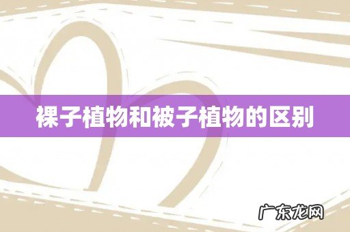 裸子植物和被子植物的区别