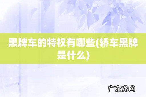 轿车黑牌是什么 黑牌车的特权有哪些