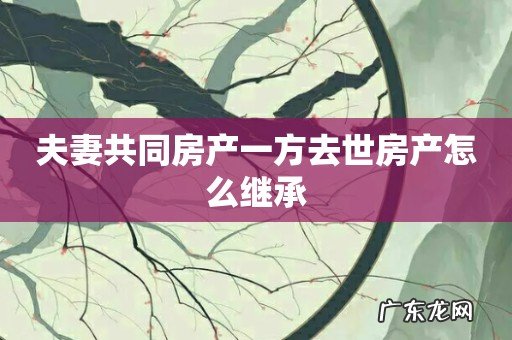 夫妻共同房产一方去世房产怎么继承