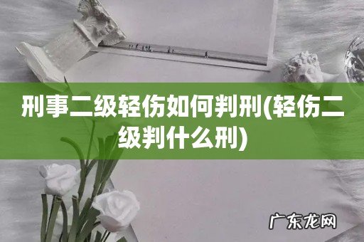 轻伤二级判什么刑 刑事二级轻伤如何判刑