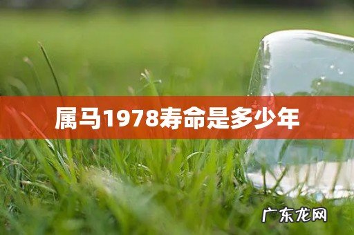 属马1978寿命是多少年