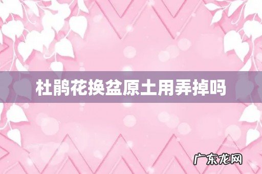 杜鹃花换盆原土用弄掉吗