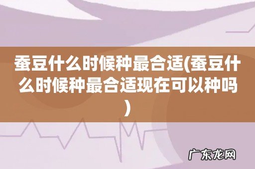 蚕豆什么时候种最合适现在可以种吗 蚕豆什么时候种最合适