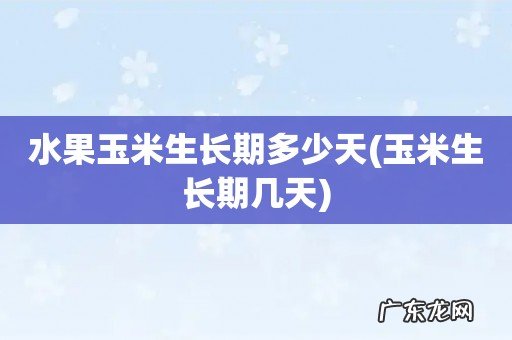 玉米生长期几天 水果玉米生长期多少天
